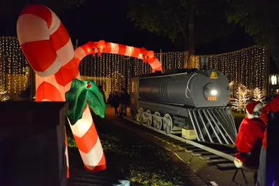 DSC_5783 (Large).JPG